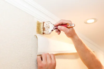 Pose de papier peint à Chignin — revêtements muraux et toiles de verre